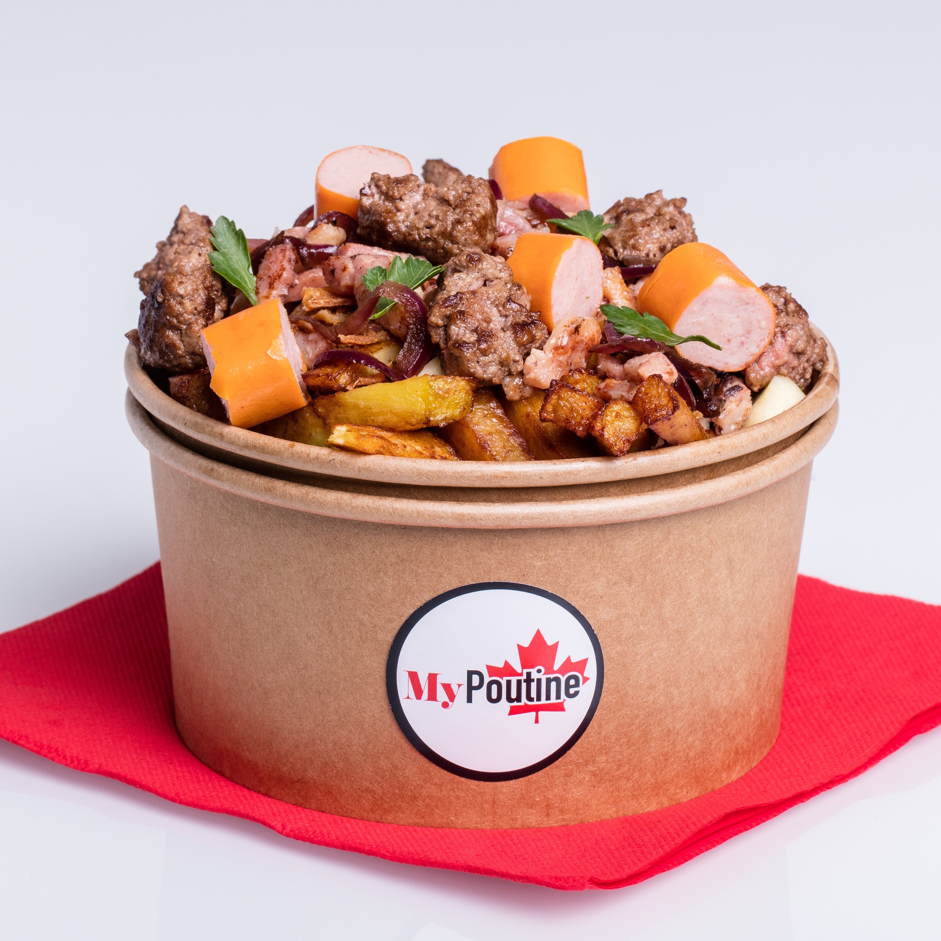 POUTINE QUEBECOISE